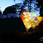 Balloon_Chicken_night2